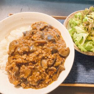 麻婆茄子飯